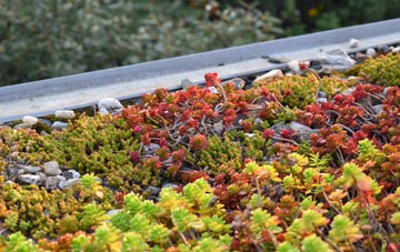 the cost of White Coppice green roof installation