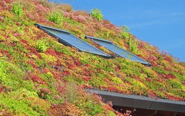 White Coppice living roof systems