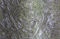 White Coppice fibreglass roof work